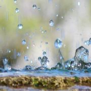 acqua che stagna