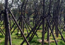 progettare progettazione