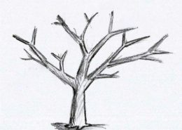 Vaso: forme di allevamento nel frutteto 8 allevamento a vaso