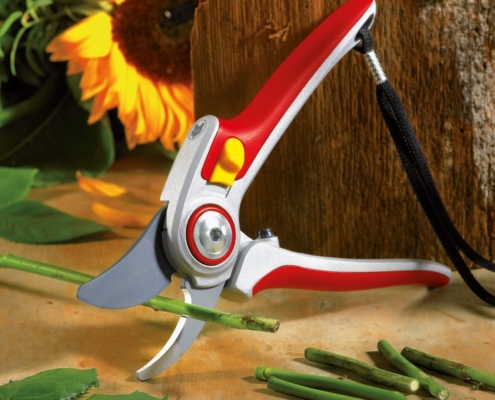 wolf professionale wolf professionale